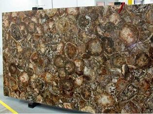 Manufacturers Exporters and Wholesale Suppliers of Petrified Wood Slab Ajmer Rajasthan Petrified Wood Slab